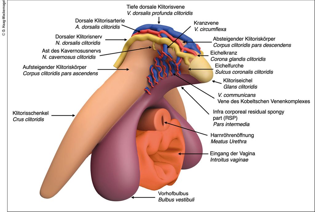 Jismoniy mashqlar paytida porno